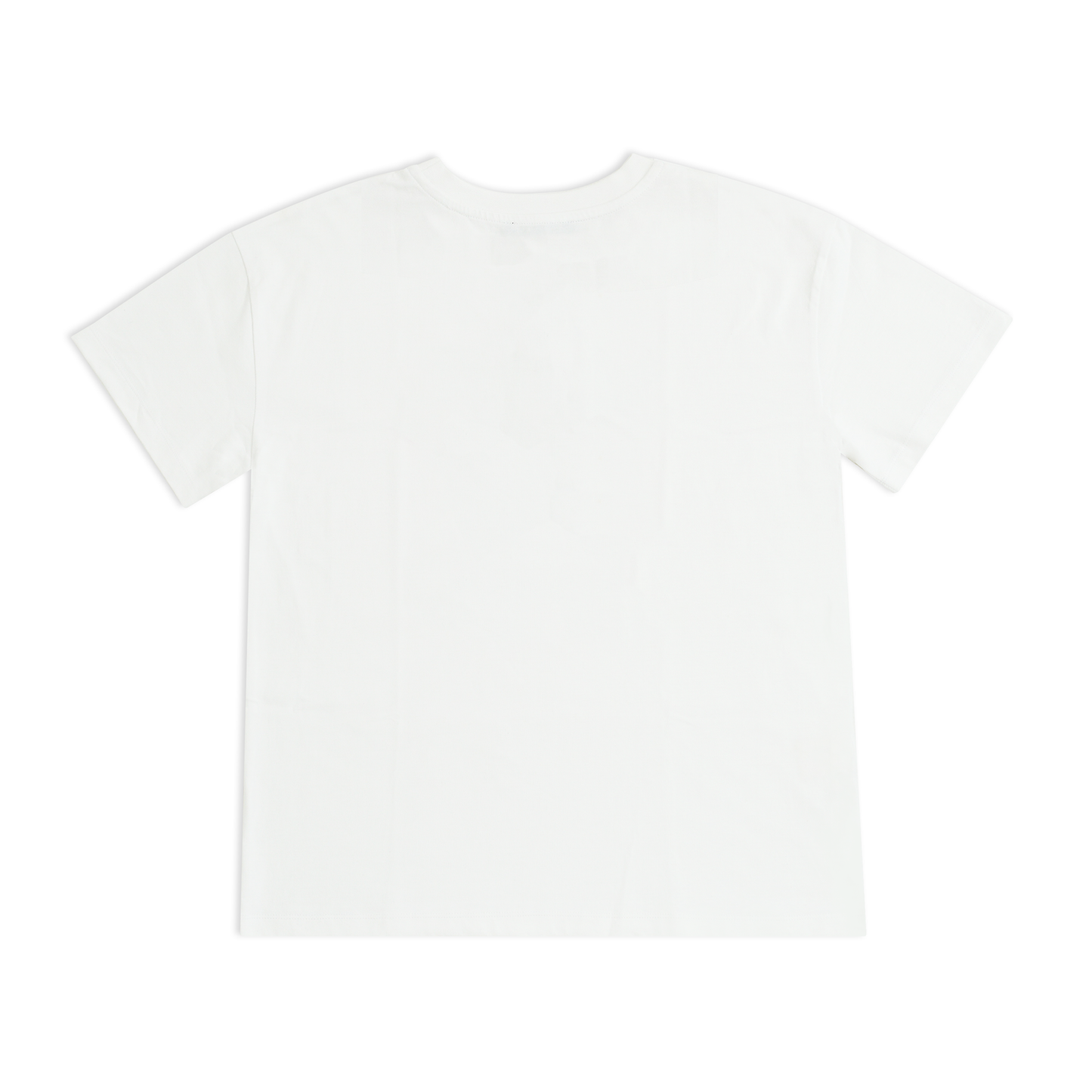 Seashell t-shirt